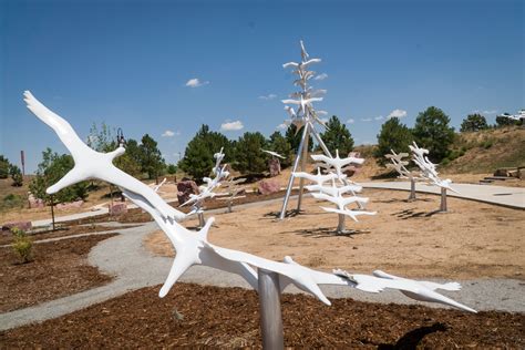 aurora colorado flower show